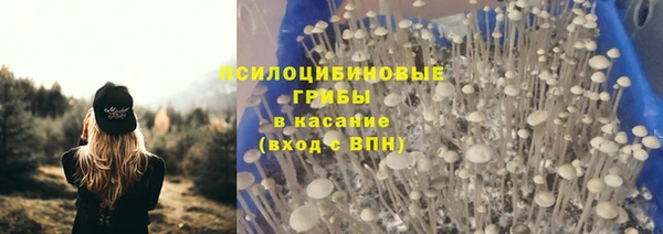 прущие крисы Валуйки