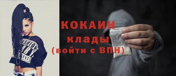 первитин Новодвинск