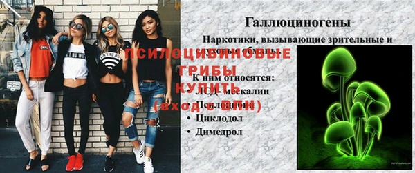 прущая мука Осташков