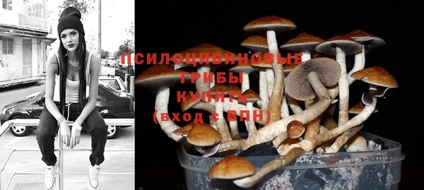 прущая мука Осташков