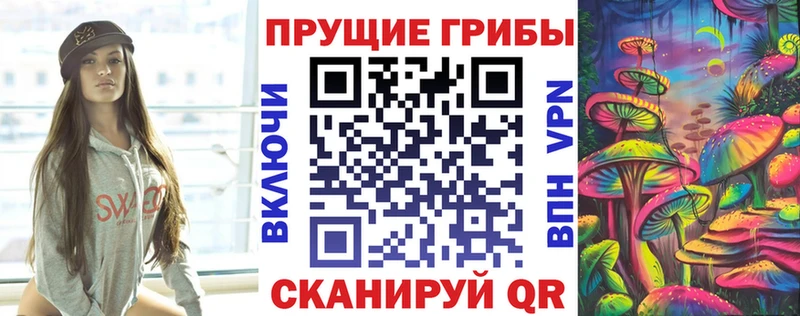 где найти наркотики  Касимов  kraken онион  Галлюциногенные грибы MAGIC MUSHROOMS 