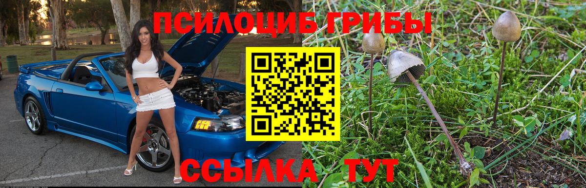 Псилоцибиновые грибы ЛСД  Вход с VPN  Касимов 