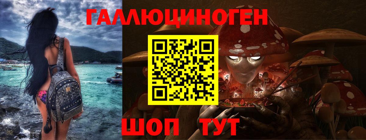 Гашиш Касимов