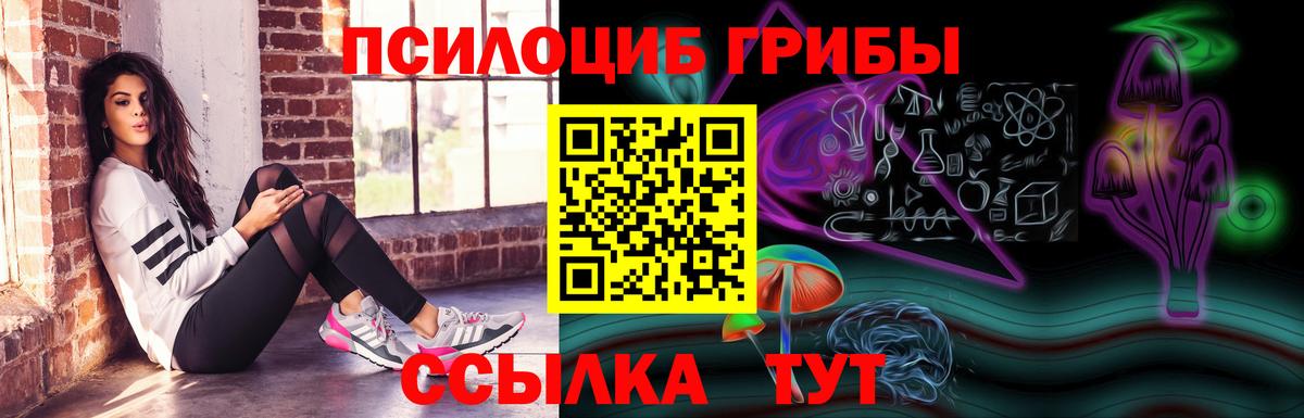 Псилоцибиновые грибы Cubensis Касимов