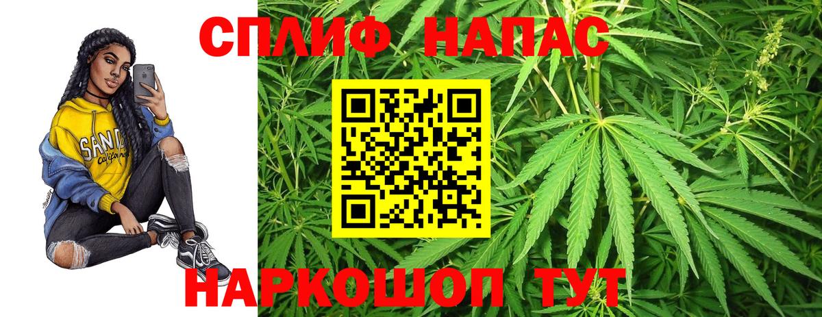 Бошки Шишки LSD WEED  Конопля LSD WEED  Конопля конопля  Касимов 